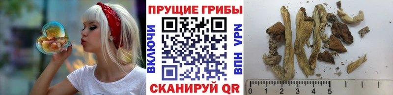 Псилоцибиновые грибы ЛСД  Аткарск 